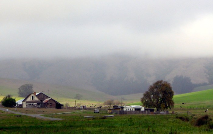 East of Eden, Steinbeck's California--Salinas Valley