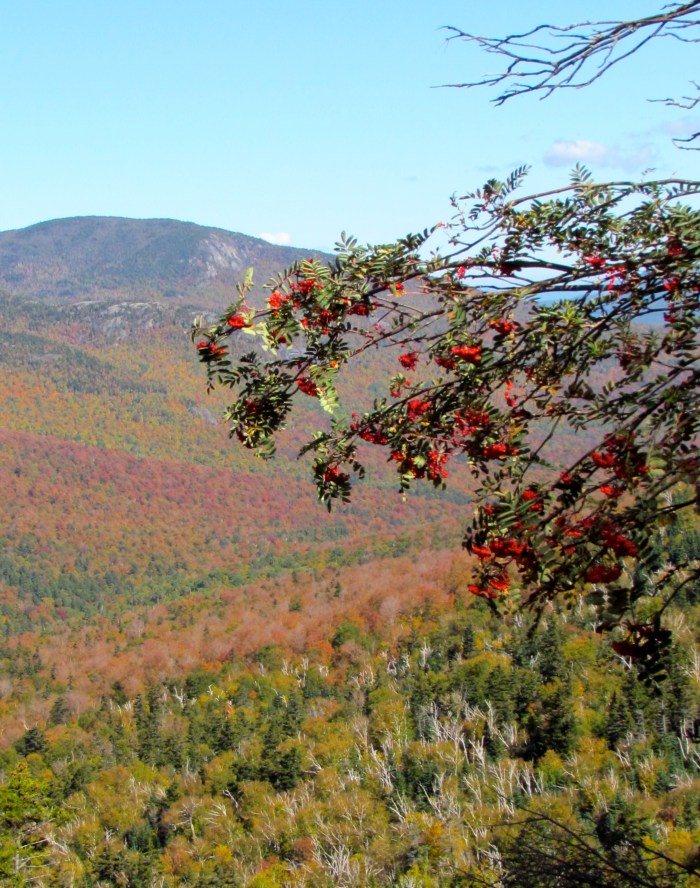 Lovely fall colours on the way up