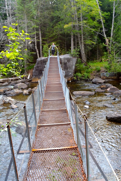 Suspension bridge over the Hudson River