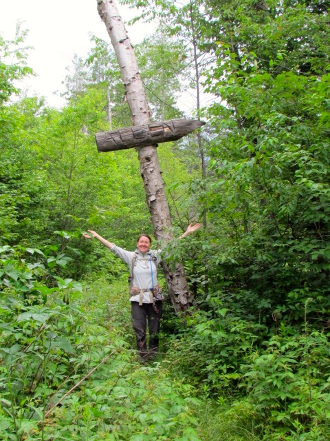 Homemade sign pointing to Allen