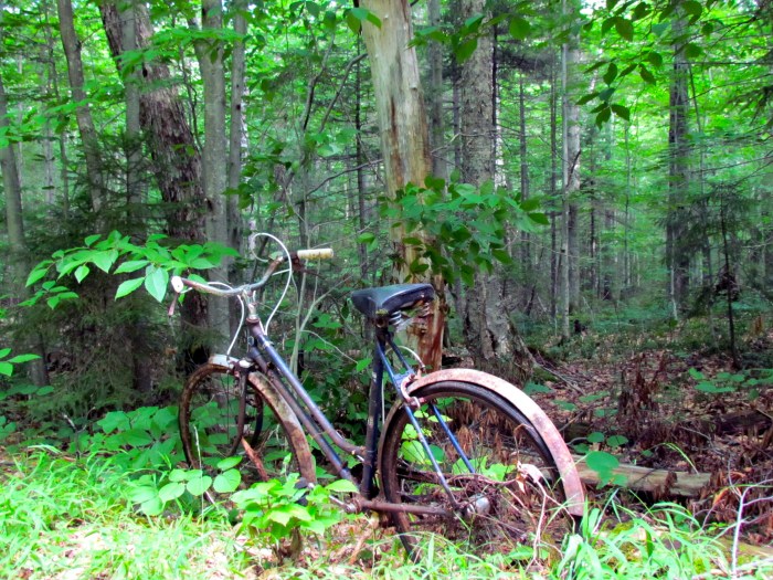 Abondoned bike on the trail