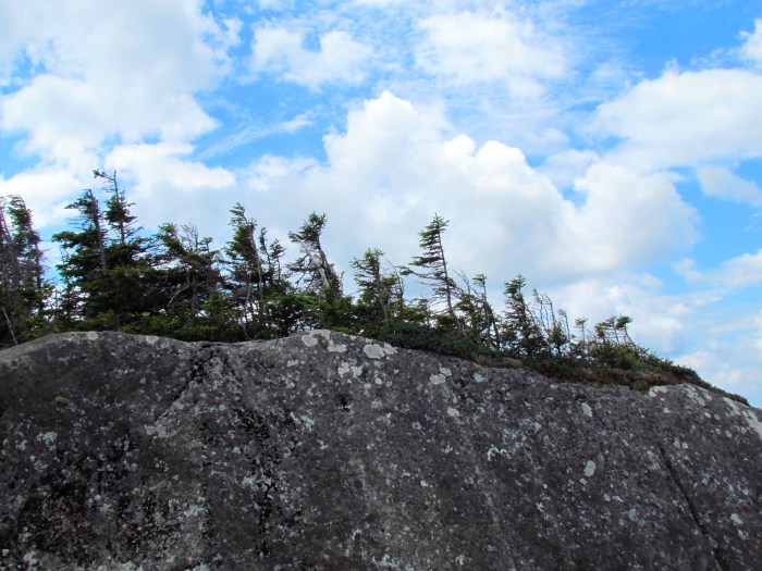 Looking up at the ridge