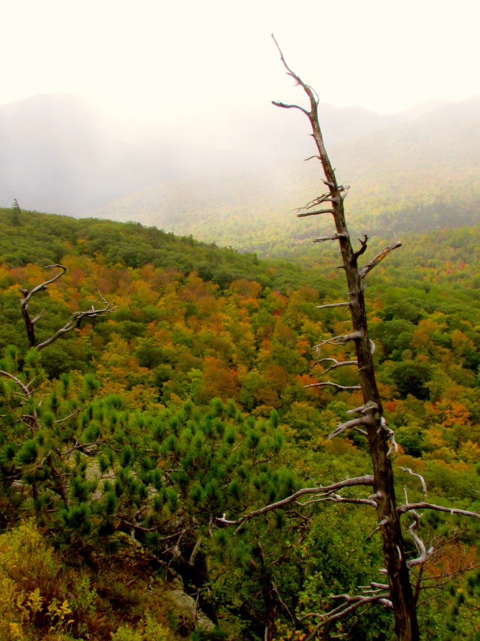 Owls Head, Lake Placid