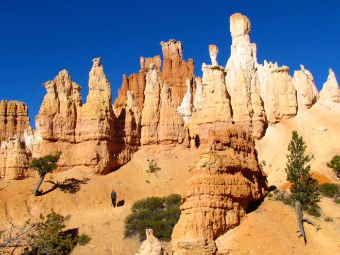 Walking below the rim to see the hoodoos up close