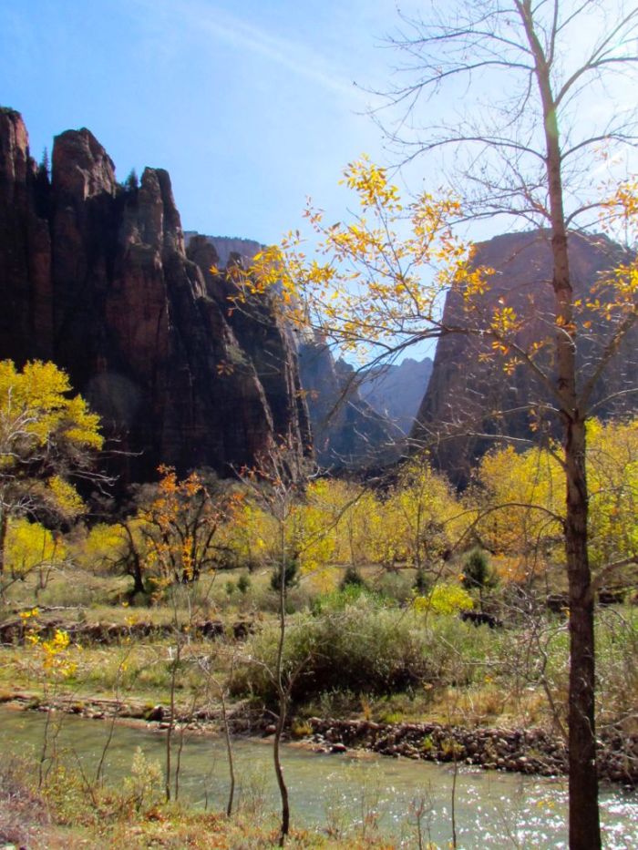 Start of the trail along the Virgin river.