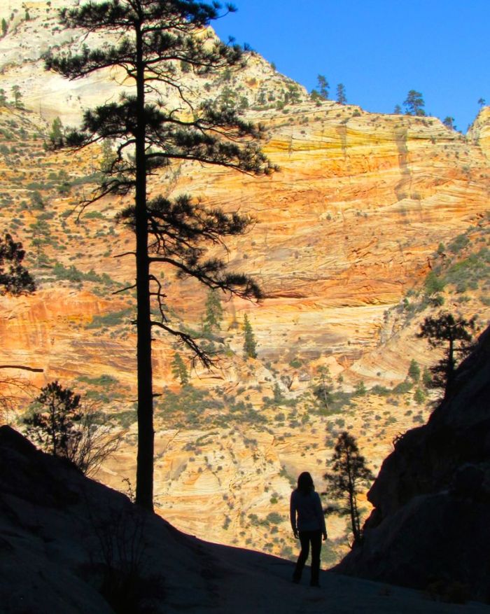 Silhouette against the golden canyon rocks