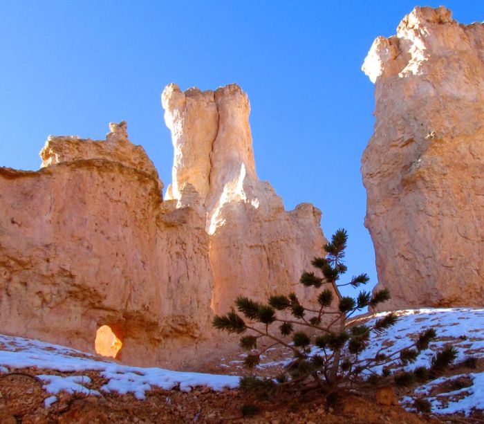 An entirely different view of Bryce from the canyon floor