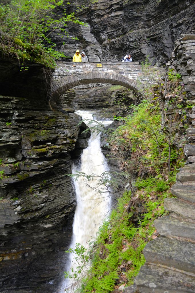 Watkins Glen