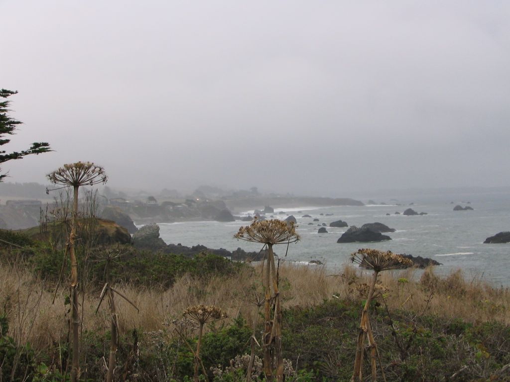 Mendocino Coast, California