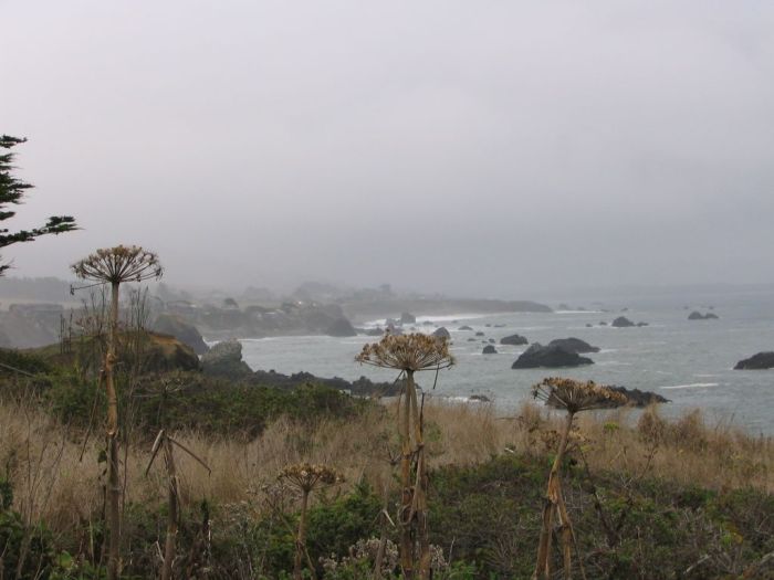 Mendocino Coast, California