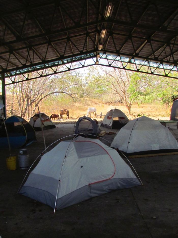 Tent city at the bodega
