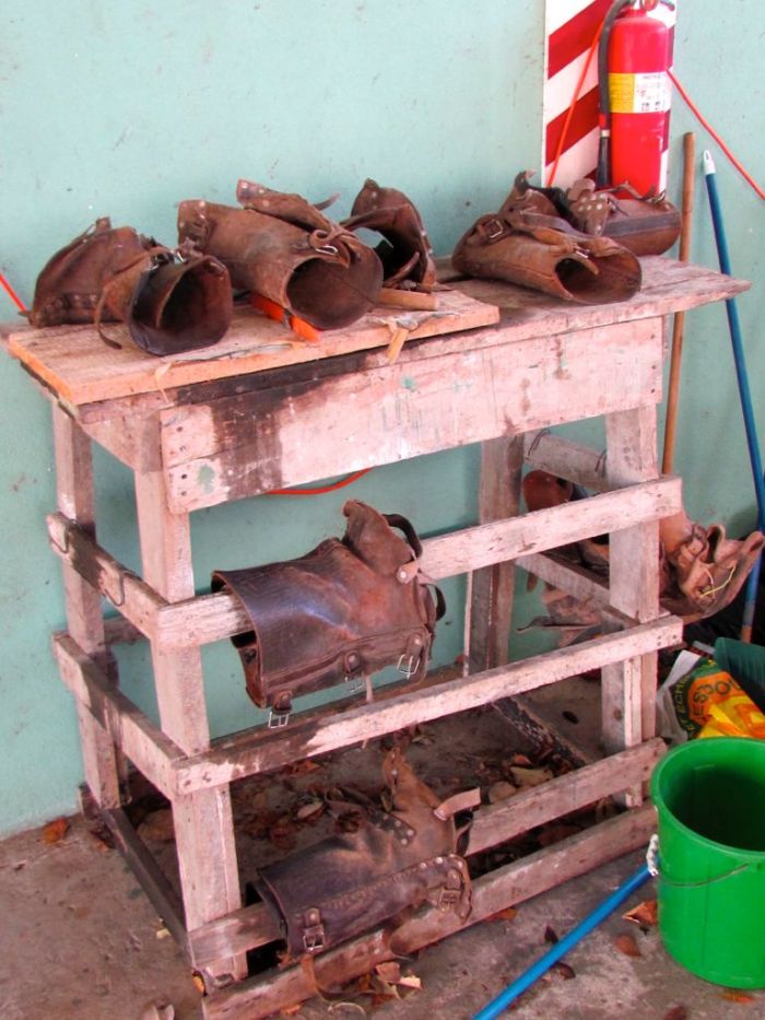 Polanais leather snake guards