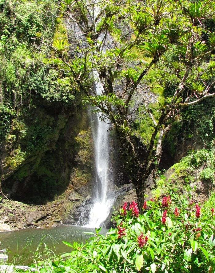 Rainbow waterfall, Viento Fresco, Costa Rica