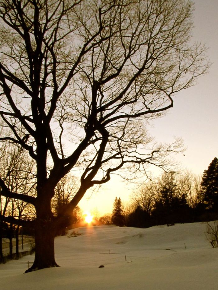 The days are getting longer. 