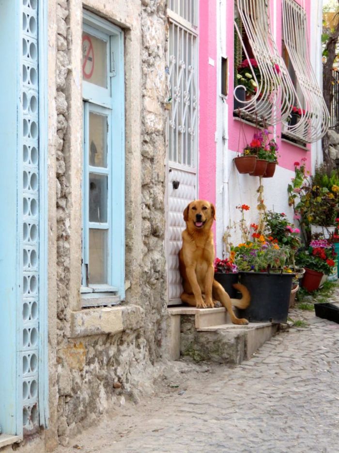 posing in --Alaçati, Turkey