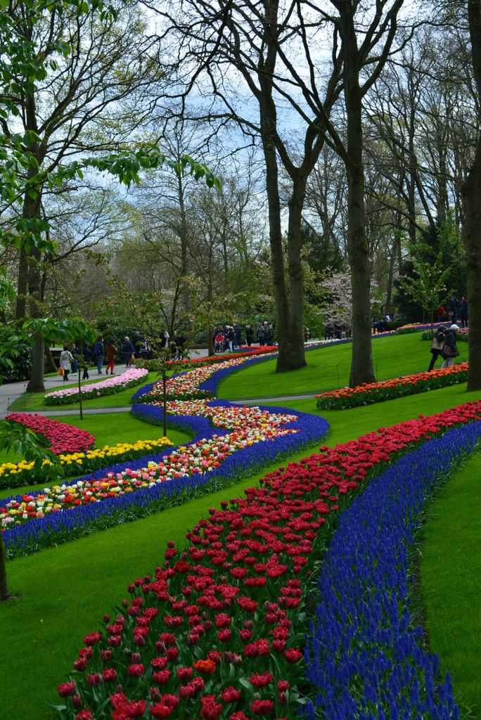 manicured flower beds at the Keukenhof
