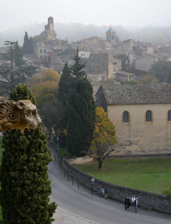 view from the Château de Lourmarin