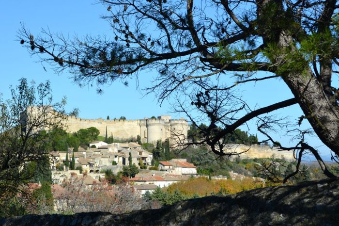 View of Fort Saint-André