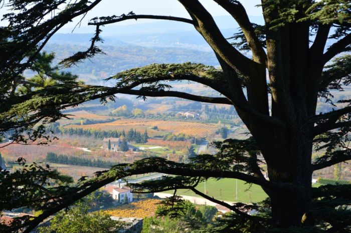 A view of the countryside seen from the village in Bonnieux, France
