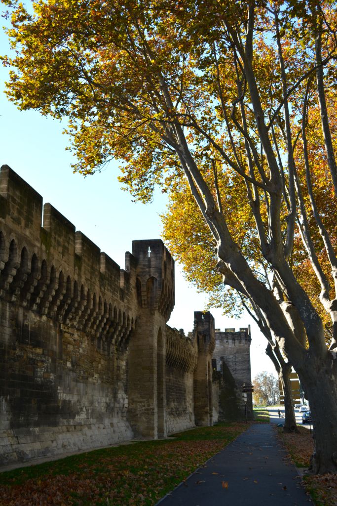 The ramparts bounding Avignon