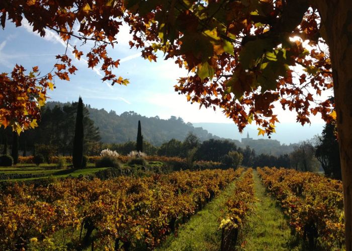 Bonnieux, Château la Canorgue