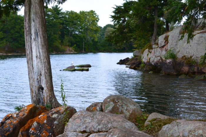 Enjoying nature in the Thousand Islands before the change of season.—Wellesley Island State Park, New York