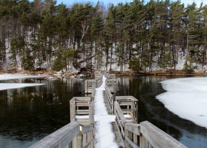 Floating Bridge at Slim Bay
