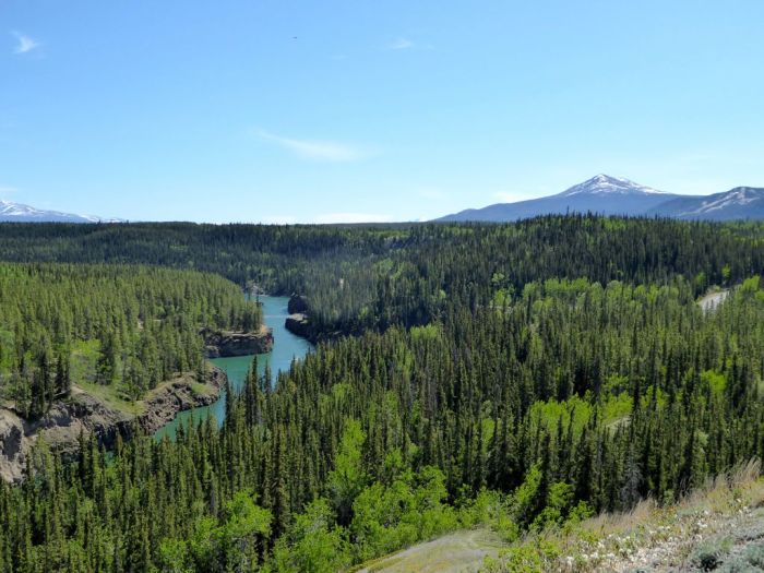 Yukon River