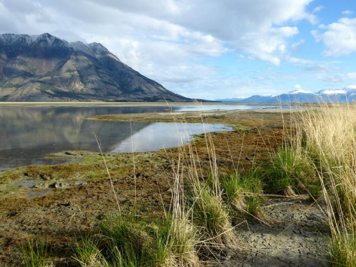 Kluane National Park and Reserve, Yukon.