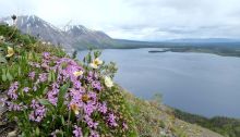View from the King's Throne trail