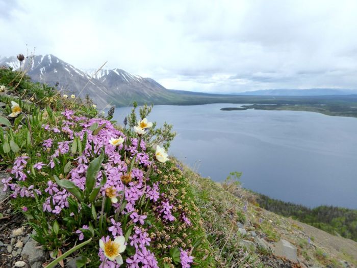 View from the King's Throne trail