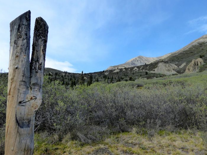 Where we turned around