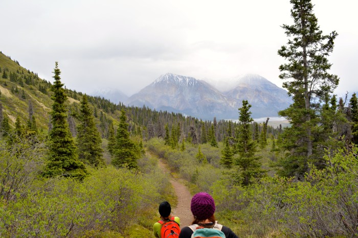 A view of the trail as we returned. 