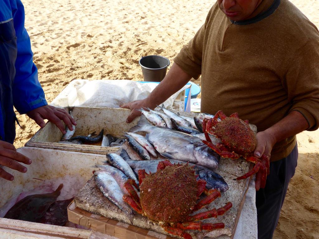 Selection of seafood in Oualidia, Morocco