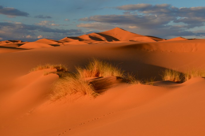 Added to Gordon's FB page