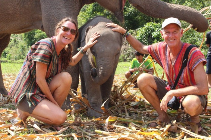 No Riding, Elephant Jungle Sanctuary. Chiang Mai